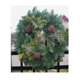 Douglas Fir Wreath (Choose from two sizes)